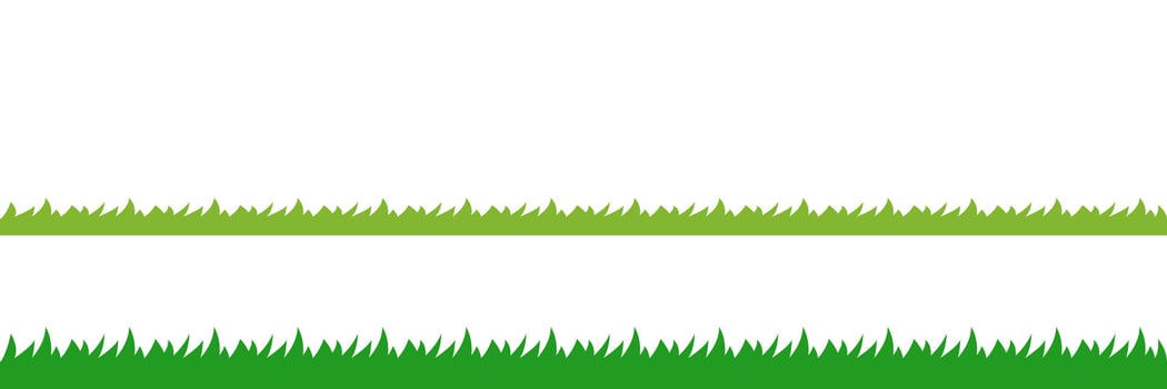 grass and meadow, grassland field, lawn graphic vector