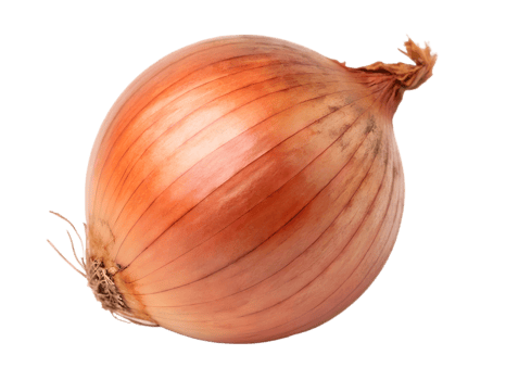 Brown Onion, Close-up, on Transparent Background png