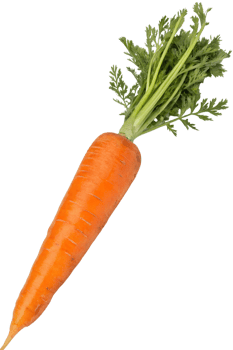 Fresh, vibrant orange carrot with green leaves, a healthy and delicious vegetable png