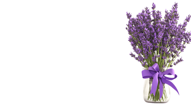 Lavender Bouquet in Glass Jar with Purple Ribbon Floral Arrangement for Home Decor and Aromath png