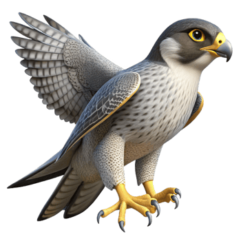 reflective vibrant A soaring peregrine falcon. NO BACKGROUND with Transparent Background. fine detail png