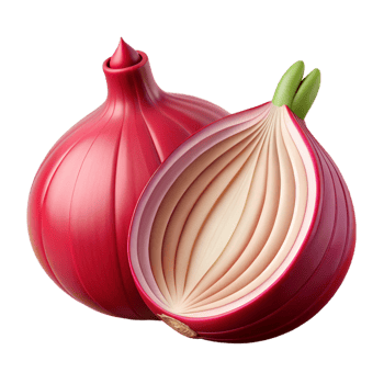 whimsical extraordinary One red onion cut in half NO BACKGROUND with Transparent Background. artisan png