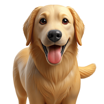 gorgeous coveted Golden retriever dog, panting, NO BACKGROUND with Transparent Background. png