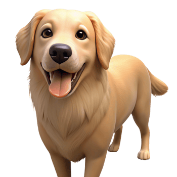 fascinating rare Golden retriever dog, panting, NO BACKGROUND with Transparent Background. png