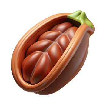 passionate glorious Cocoa bean pod, opened NO BACKGROUND with Transparent Background. original png