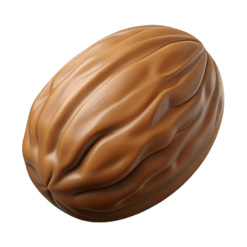 enchanting inspired Pecan nut in shell NO BACKGROUND with Transparent Background. png