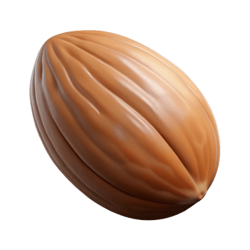 dramatic pristine A single raw almond nut NO BACKGROUND with Transparent Background. high quality png