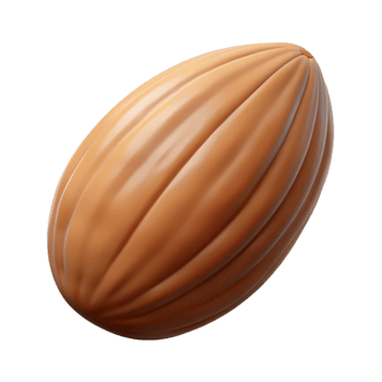 sought-after artistic Single almond NO BACKGROUND with Transparent Background. flawless png