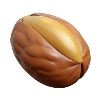 standout victorian Brazil nut NO BACKGROUND with Transparent Background. 8K png