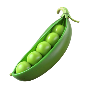 splendid modern Fresh green pea pod NO BACKGROUND with Transparent Background. high resolution png