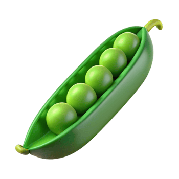 vibrant minimalist A single, green pea pod, open with peas visible, NO BACKGROUND with Transparent Background. sharp png
