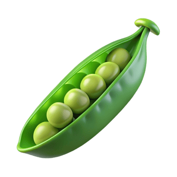 beautiful industrial A single, green pea pod, open with peas visible, NO BACKGROUND with Transparent Background. refined png