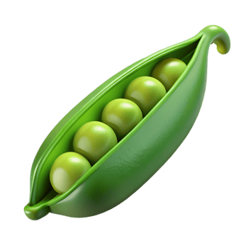 memorable elegant A single, green pea pod, open with peas visible, NO BACKGROUND with Transparent Background. gallery standard png