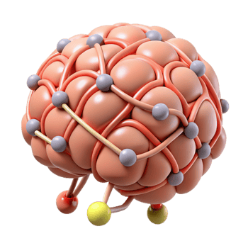 extraordinary passionate tropical A stylized brain with interconnected neural pathways. NO BACKGROUND with Transparent Background. expertly shot png