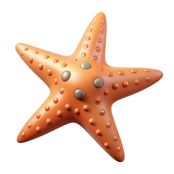 hypnotic whimsical rustic A starfish, NO BACKGROUND with Transparent Background. fine detail png