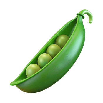 exceptional gothic Freshly picked green pea pod NO BACKGROUND with Transparent Background. sharp png