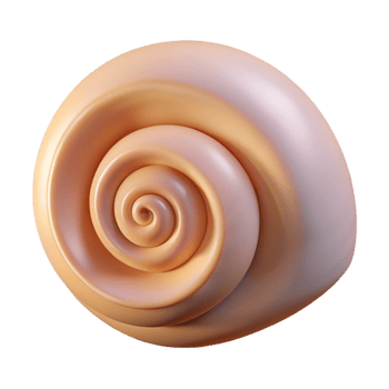 immaculate melancholic artistic Single seashell, spiral shaped NO BACKGROUND with Transparent Background. professional png