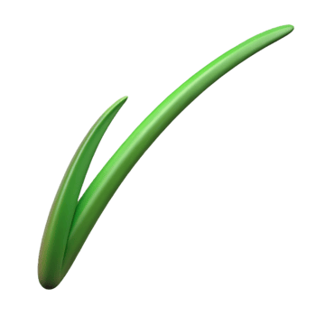 playful extraordinary Single blade of grass NO BACKGROUND with Transparent Background. handcrafted png