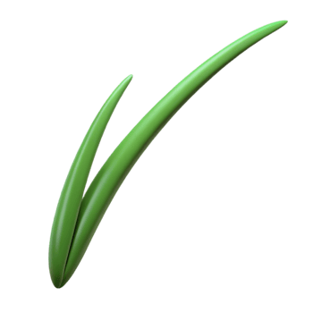 majestic ethereal artistic Single blade of grass NO BACKGROUND with Transparent Background. flawless png