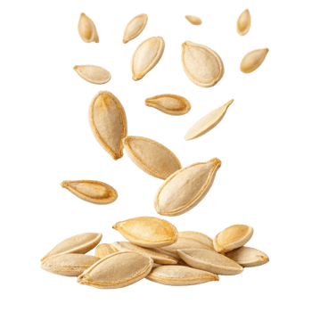 Pumpkin seeds falling in mid air, showcasing their smooth texture and light color, creating dynamic and lively scene png
