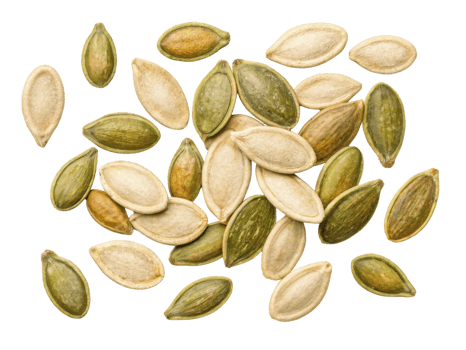 variety of pumpkin seeds scattered on transparency background, showcasing their unique shapes and colors, perfect for healthy snacking or cooking png