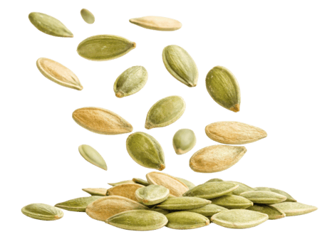 Pumpkin seeds falling in dynamic arrangement, showcasing their green and beige colors, perfect for healthy snacking and cooking png