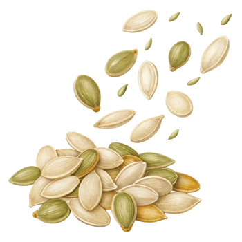 collection of pumpkin seeds various colors, some scattered, showcasing their natural texture and shape. image evokes sense of health and nutrition png