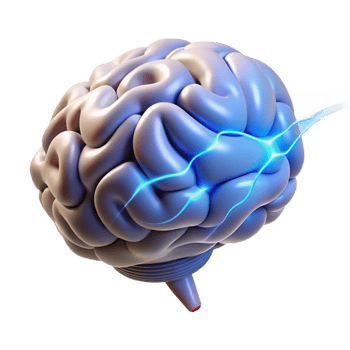 memorable artistic A stylized human brain, pulsating with energy. NO BACKGROUND with Transparent Background. original png