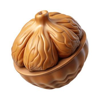 rare geometric Walnut in shell NO BACKGROUND with Transparent Background. refined png