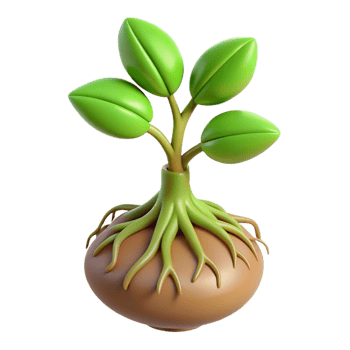 radiant victorian Root system of a small plant NO BACKGROUND with Transparent Background. impeccable png