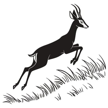 Black Springbok Leaping Over Grass vector