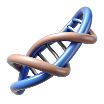serene mid-century DNA double helix model, rotating slowly NO BACKGROUND with Transparent Background. original png
