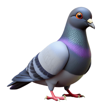 elegant dramatic classic A flock of pigeons individual pigeon. NO BACKGROUND with Transparent Background. genuine png