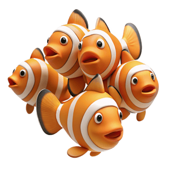 unparalleled rustic A school of clownfish individual clownfish. NO BACKGROUND with Transparent Background. gallery standard png