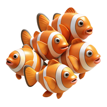 enchanting signature A school of clownfish individual clownfish. NO BACKGROUND with Transparent Background. png