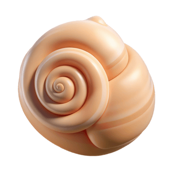 dramatic stunning Single seashell, spiral shape NO BACKGROUND with Transparent Background. professional png