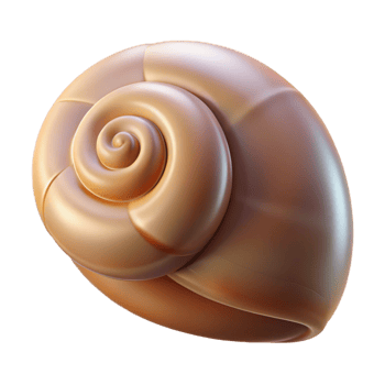 romantic pristine Snail shell, empty NO BACKGROUND with Transparent Background. genuine png