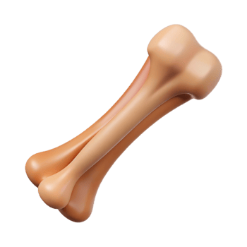 immaculate coveted Animal bone, rib NO BACKGROUND with Transparent Background. png