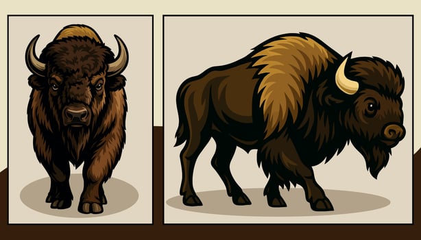 Bison front and side view cartoon illustration vector