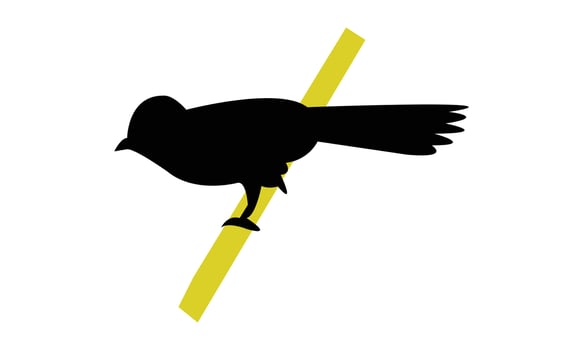 African paradise flycatcher bird black Silhouette vector