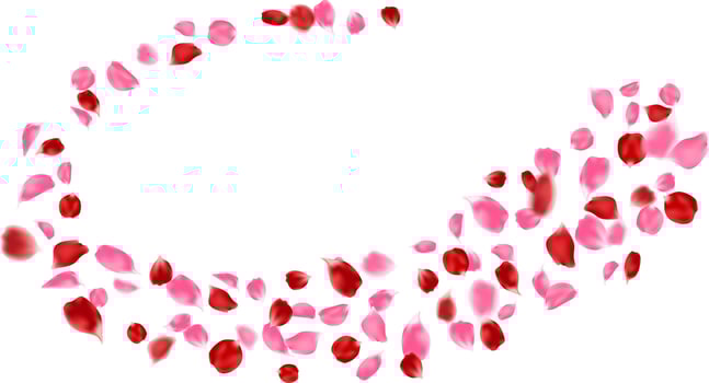 Floral spring season, romantic card, decoration love day. Pink and red rose petals vector