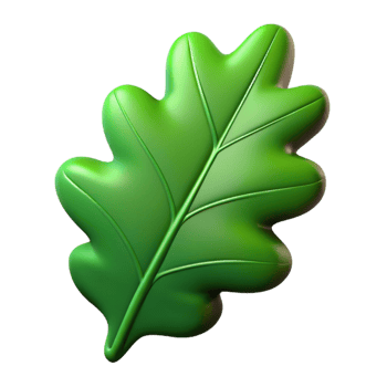 gorgeous distinctive Single green oak leaf NO BACKGROUND with Transparent Background. png