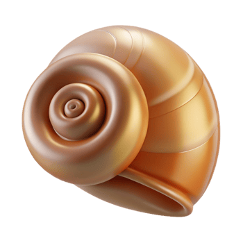 tranquil splendid Snail shell NO BACKGROUND with Transparent Background. exclusive png