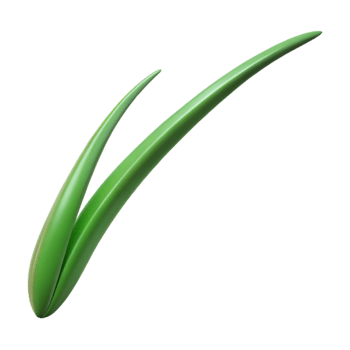 gorgeous romantic tropical Single blade of grass NO BACKGROUND with Transparent Background. flawless png