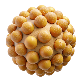 immaculate dynamic modern Close-up of pollen grains NO BACKGROUND with Transparent Background. sharp png
