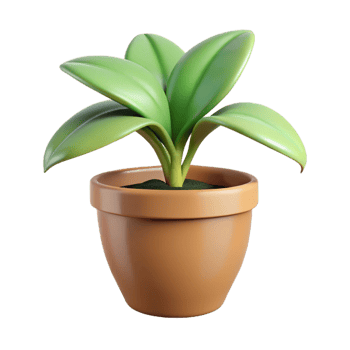 mysterious picturesque Houseplant in a pot, NO BACKGROUND with Transparent Background. gallery standard png