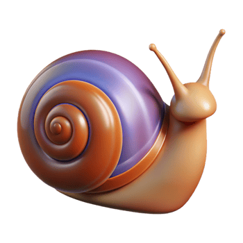 rare coastal A snail, shell visible. NO BACKGROUND with Transparent Background. impeccable png