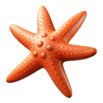 picturesque romantic geometric A starfish, five arms visible. NO BACKGROUND with Transparent Background. top-tier png