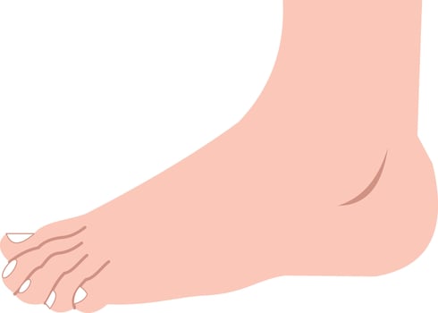 Foot clipart foot clipart foot clipart foot clipart foot clipart foot clipart foot vector