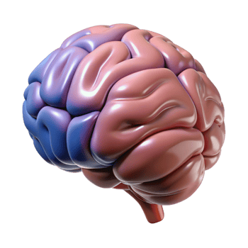 iconic art deco Brain, human, anatomy, NO BACKGROUND with Transparent Background. luxury png